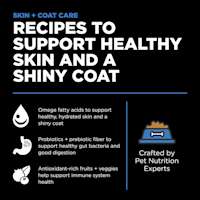 Recipes to support healthy skin and a shiny coat