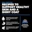 Recipes to support healthy skin and a shiny coat