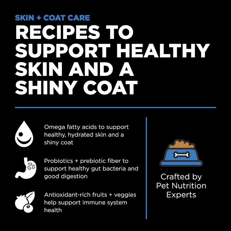 Recipes to support healthy skin and a shiny coat