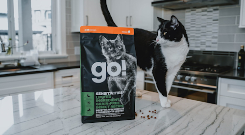 Black and white cat engaging with GO! Insect Recipe kibble bag
