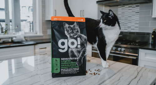 Black and white cat engaging with GO! Insect Recipe kibble bag