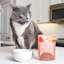 Cat licking lips with Now Fresh Tuna & Salmon Pâté wet cat food