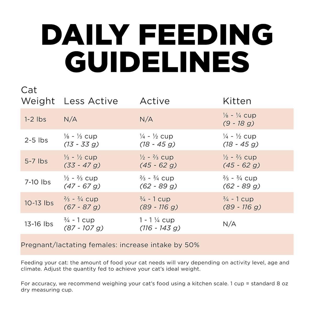 Go! Solutions Digestion + Gut Health Salmon Recipe with Ancient Grains cat food feeding guidelines