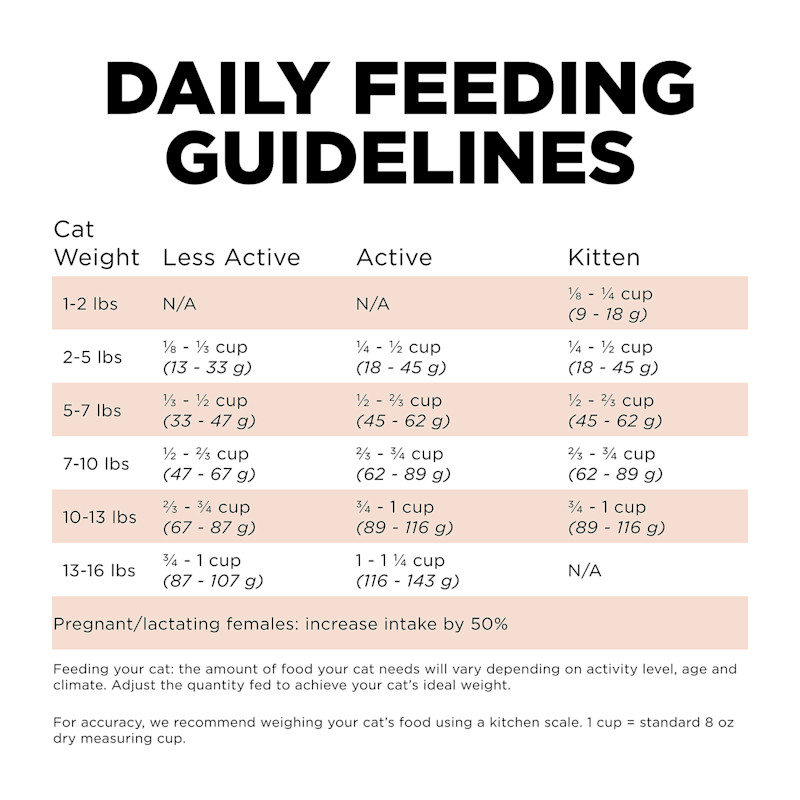 Go! Solutions Digestion + Gut Health Salmon Recipe with Ancient Grains cat food feeding guidelines