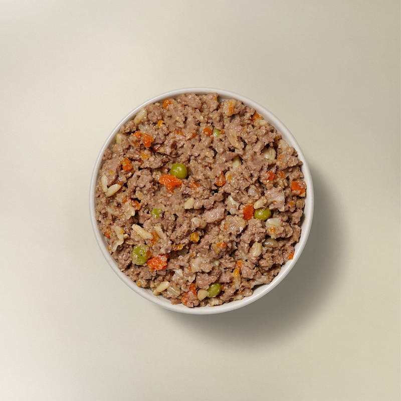 Now Fresh Chicken & Rice Dinner wet dog food in bowl