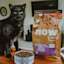 Black cat sitting beside bowl of kibble and bag of NOW FRESH Senior cat food