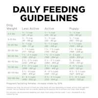 Go! Solutions Skin + Coat Care Turkey Recipe with Grains dog food feeding guidelines
