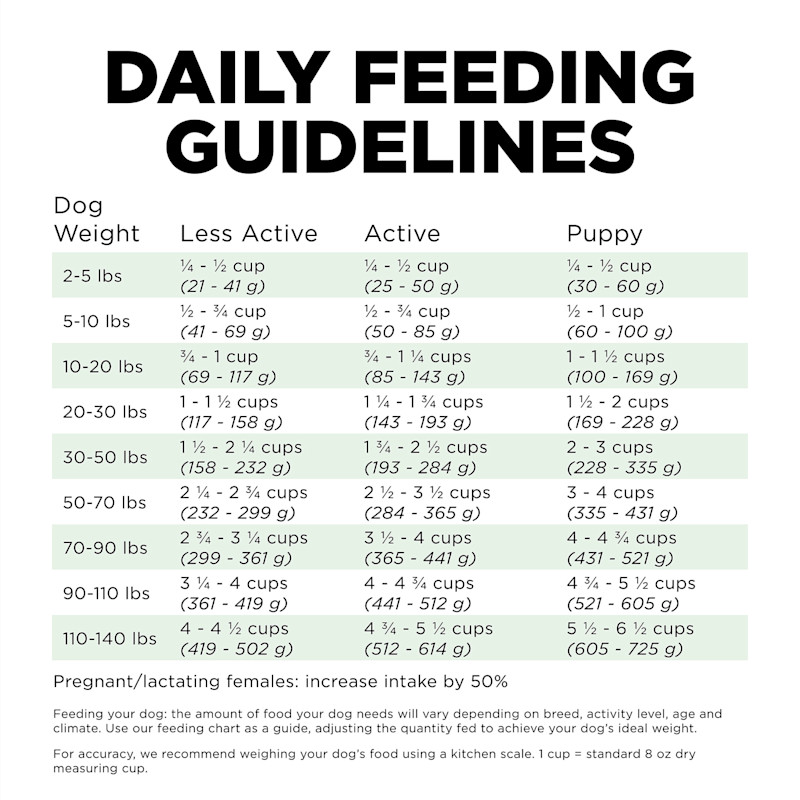 Go! Solutions Skin + Coat Care Turkey Recipe with Grains dog food feeding guidelines