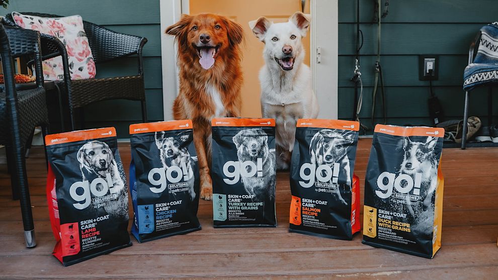 Two dogs with bags of Go! Solutions kibble