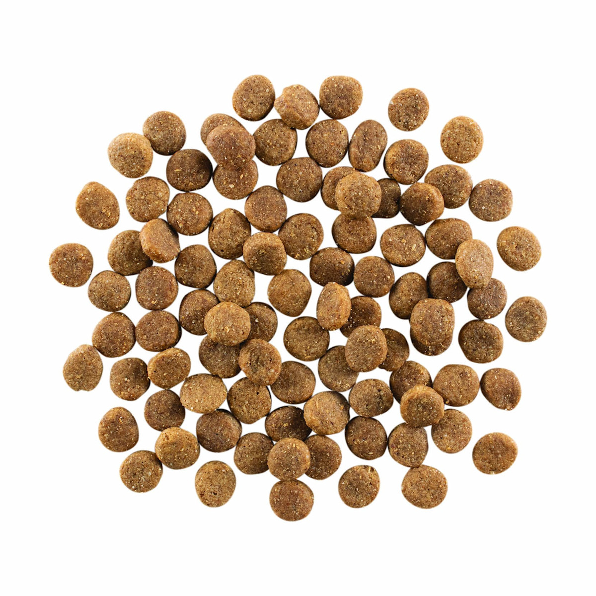 GO! SOLUTIONS SKIN + COAT CARE Chicken Recipe with Grains for Dogs kibble