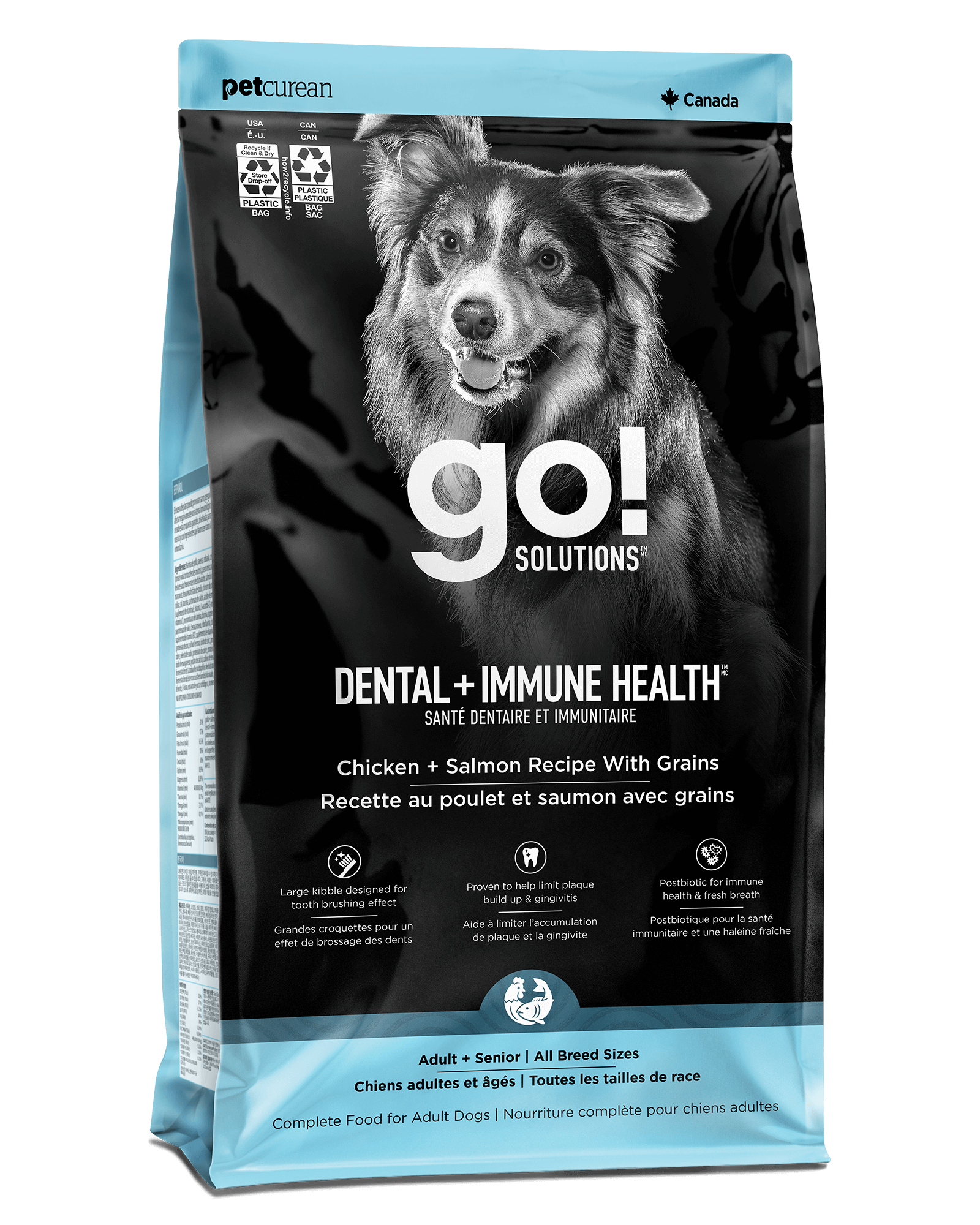 Go! Solutions Dental + Immune Health Chicken + Salmon Recipe for Dogs