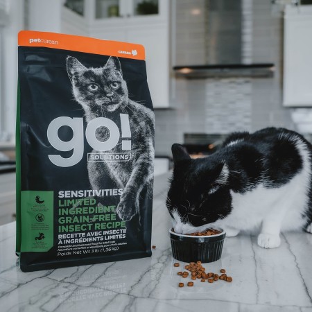 Black and white cat eating Go! Solutions kibble on counter