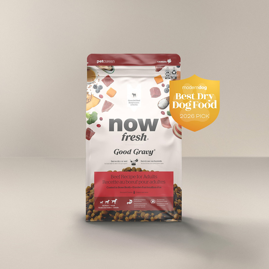 Now Fresh Good Gravy Beef Recipe for Adult dogs Modern Dog Best Dry Dog Food 2026 Pick