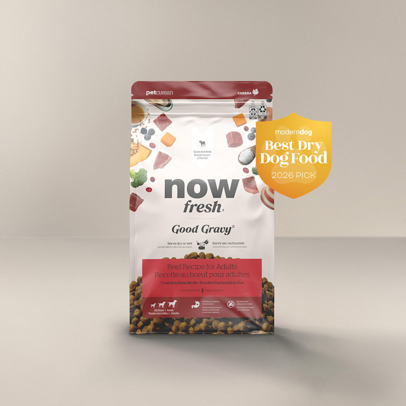 Now Fresh Good Gravy Beef Recipe for Adult dogs Modern Dog Best Dry Dog Food 2026 Pick