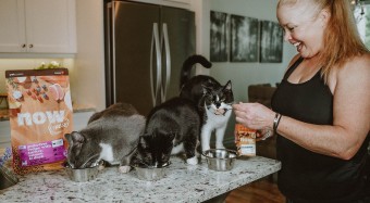 Shelley with three cats eating NOW FRESH on counter