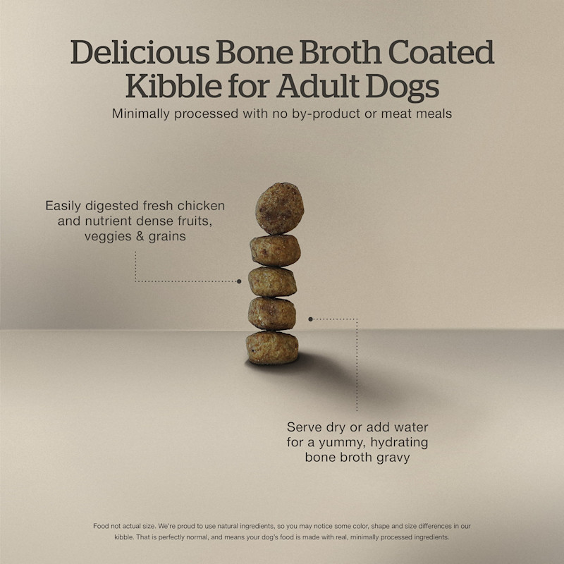 Delicious bone broth coated kibble for adult dogs