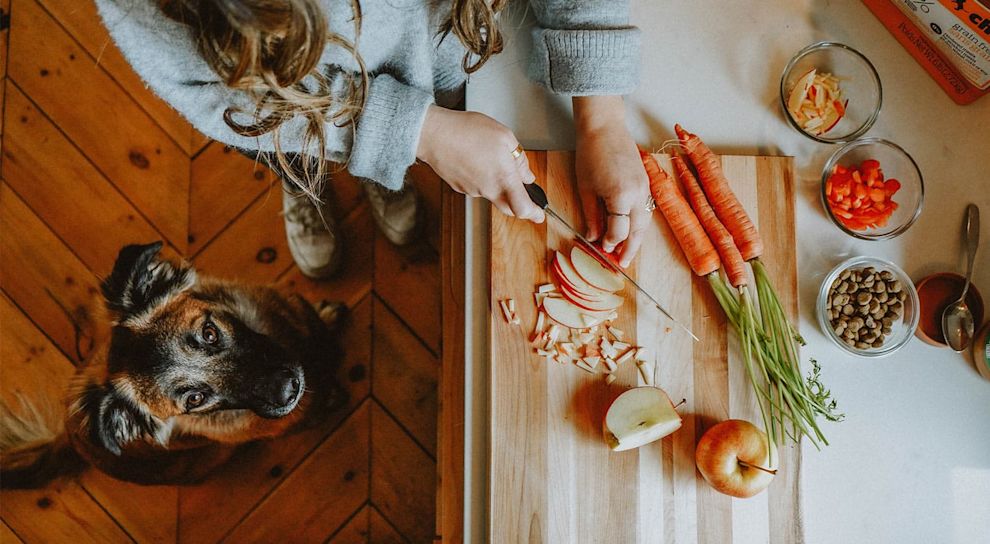 Dog and owner in the kitchen prepping food