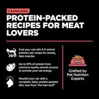 Protein-packed recipes for meat lovers