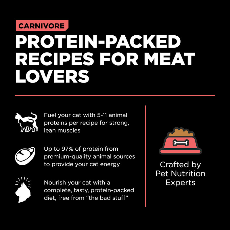 Protein-packed recipes for meat lovers