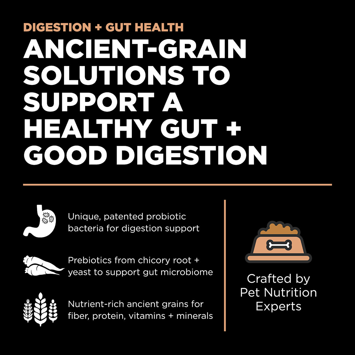 Ancient-grain solutions to support a healthy gut and good digestion
