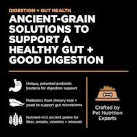 Ancient-grain solutions to support a healthy gut and good digestion