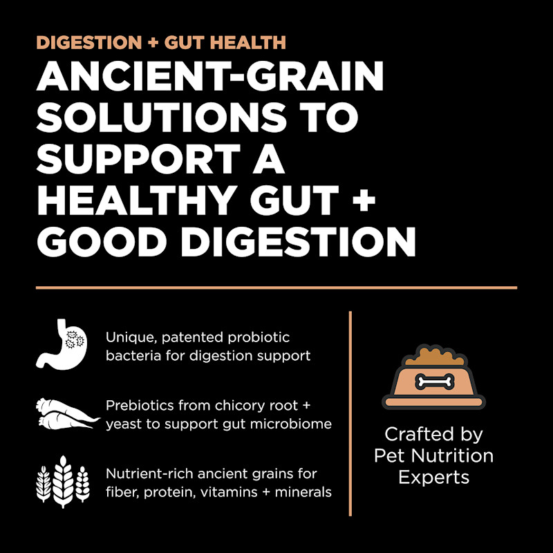 Ancient-grain solutions to support a healthy gut and good digestion