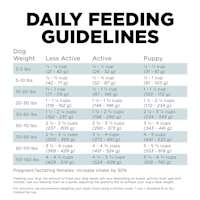 Go! Solutions Digestion + Gut Health Chicken Recipe with Ancient Grains dog food feeding guidelines