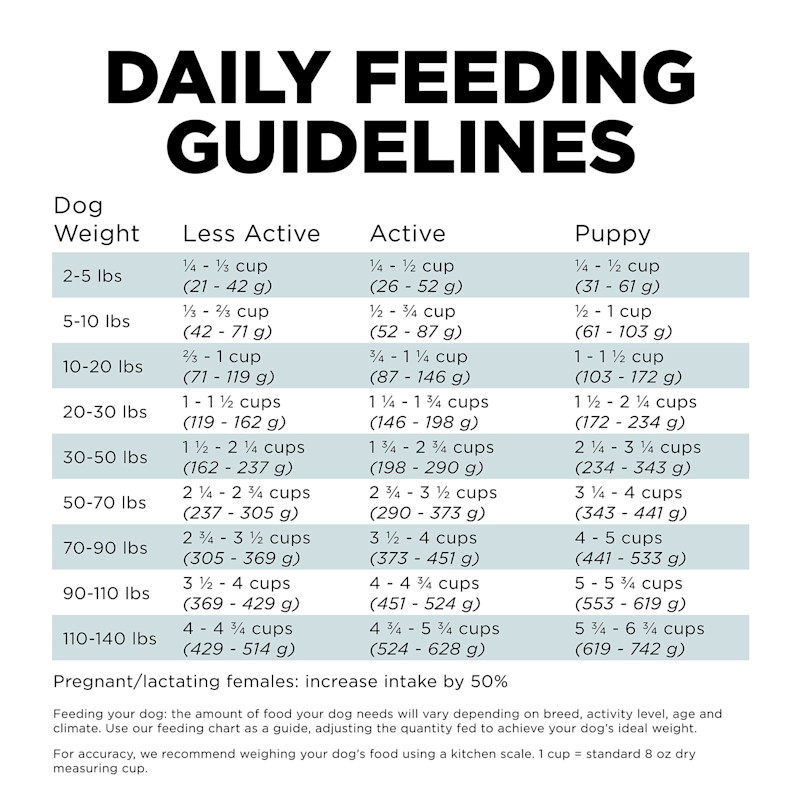 Go! Solutions Digestion + Gut Health Chicken Recipe with Ancient Grains dog food feeding guidelines