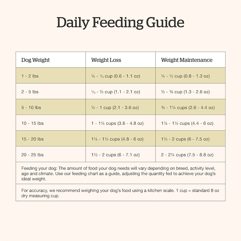Now Fresh Small Breed Adult Fish Recipe dog food feeding guide