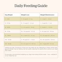 Now Fresh Adult Recipe dog food feeding guide