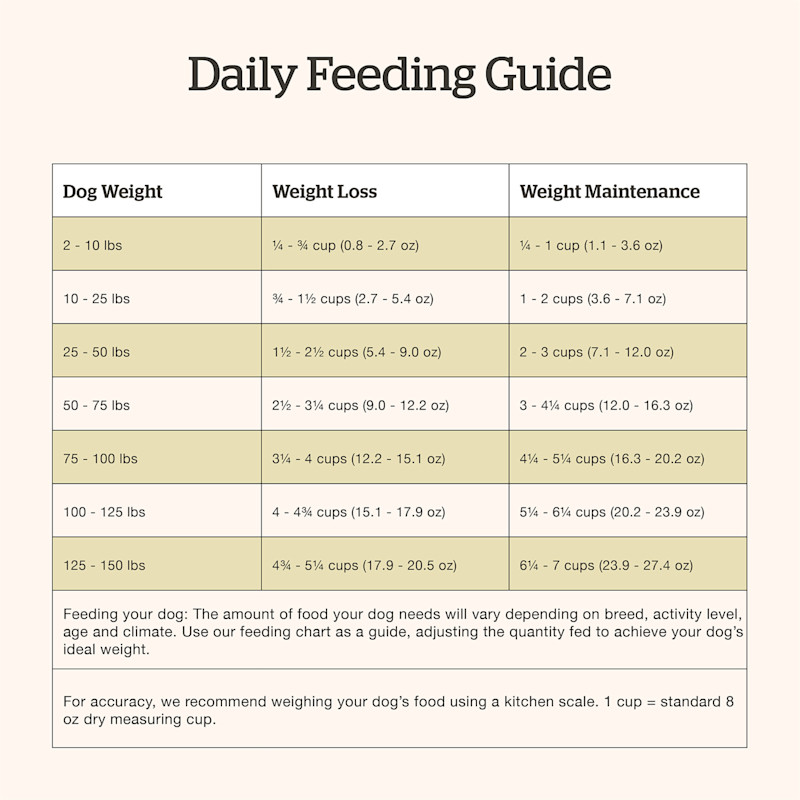 Now Fresh Adult Recipe dog food feeding guide