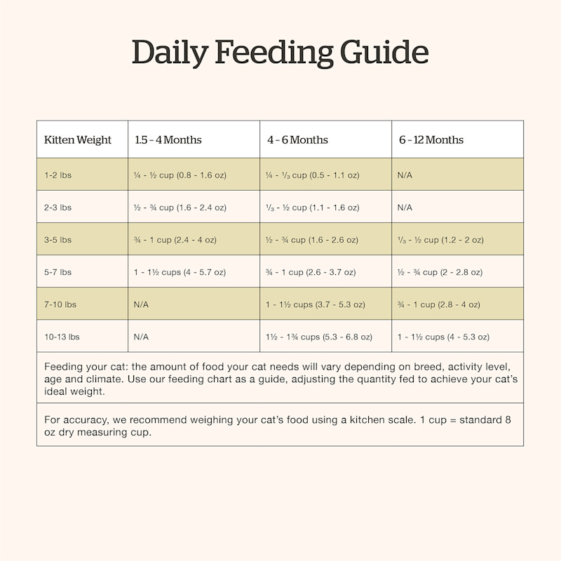 Now Fresh Kitten Recipe cat food feeding guide
