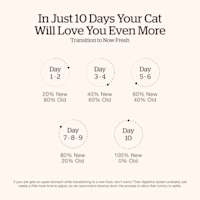 Transition your cat's food gradually over a ten day period