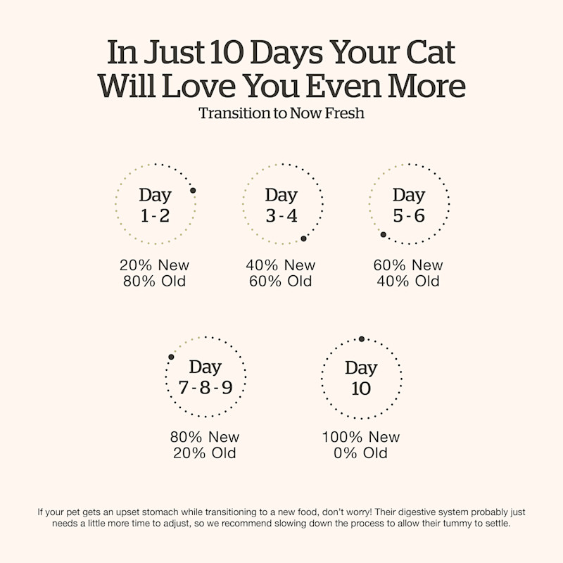Transition your cat's food gradually over a ten day period