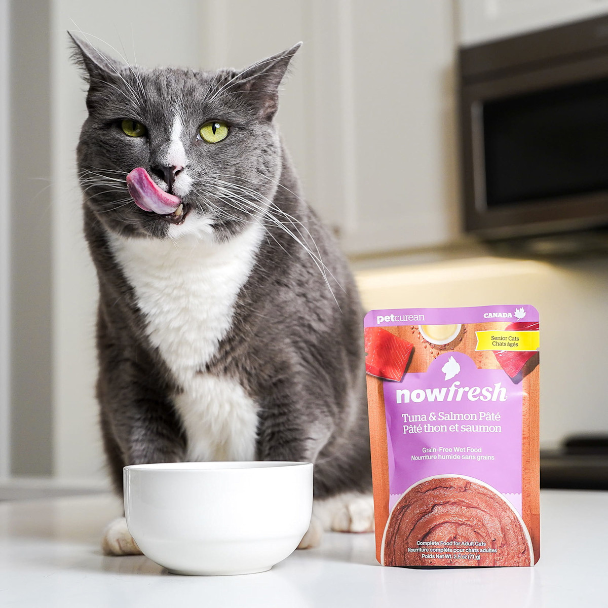 Cat on counter eating Now Fresh Senior Tuna & Salmon Pâté wet cat food