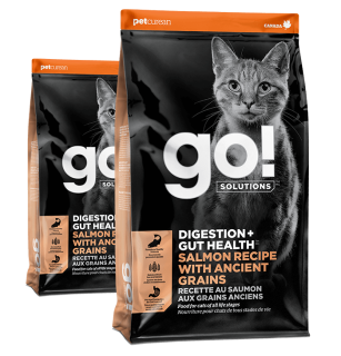 Go! Solutions Digestion + Gut Health Salmon Recipe with Ancient Grains for Cats