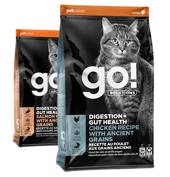 Go! Solutions Digestion + Gut Health kibble for cats