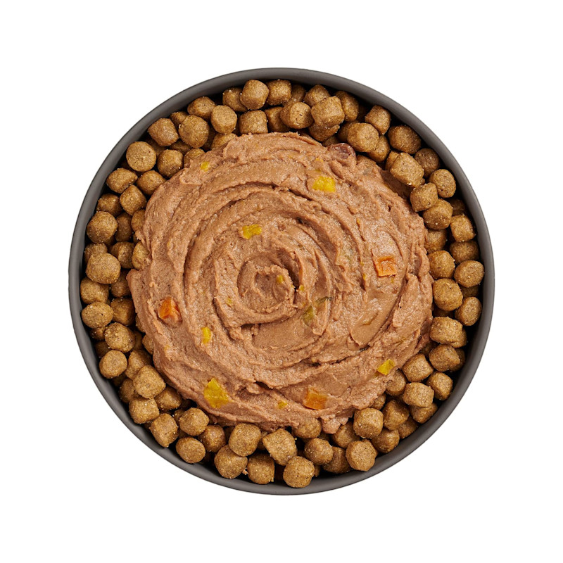 Bowl of kibble topped with Go! Booster Digestive Health Tuna + Salmon Pâté for cats