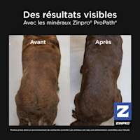 Zinpro® results