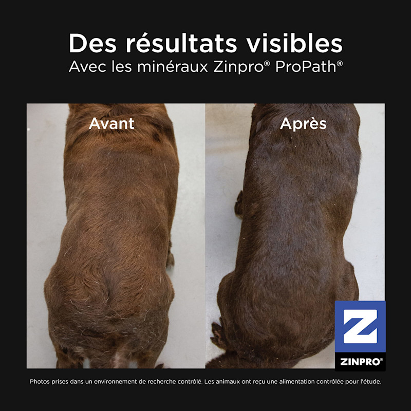 Zinpro® results