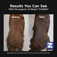 Zinpro® results