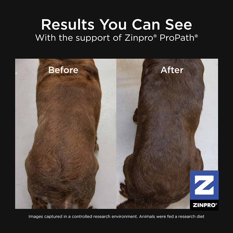Zinpro® results