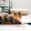 Calico cat laying on floor with toy mouse