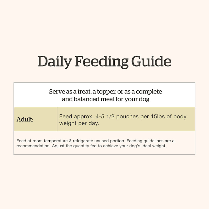 Now Fresh Chicken & Salmon Pâté for Seniors wet dog food feeding guide