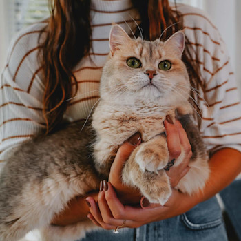 Woman holding cat