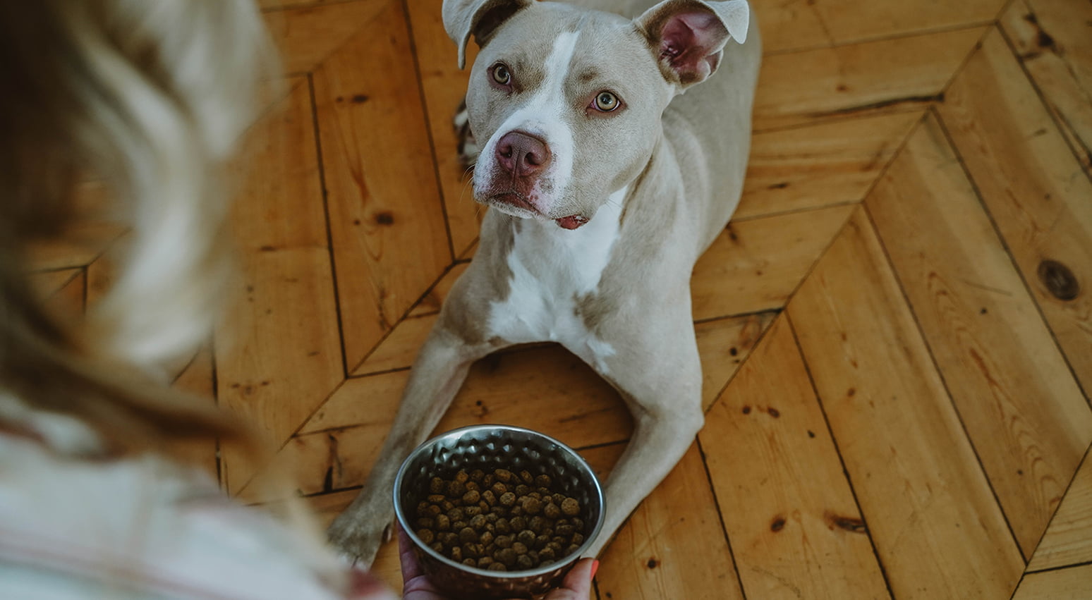 Dog food with high omega 3 fatty clearance acids