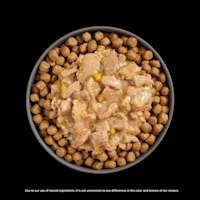 Go! Solutions Booster Weight Management Chicken + Tuna food topper on kibble