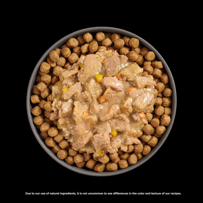 Go! Solutions Booster Weight Management Chicken + Tuna food topper on kibble