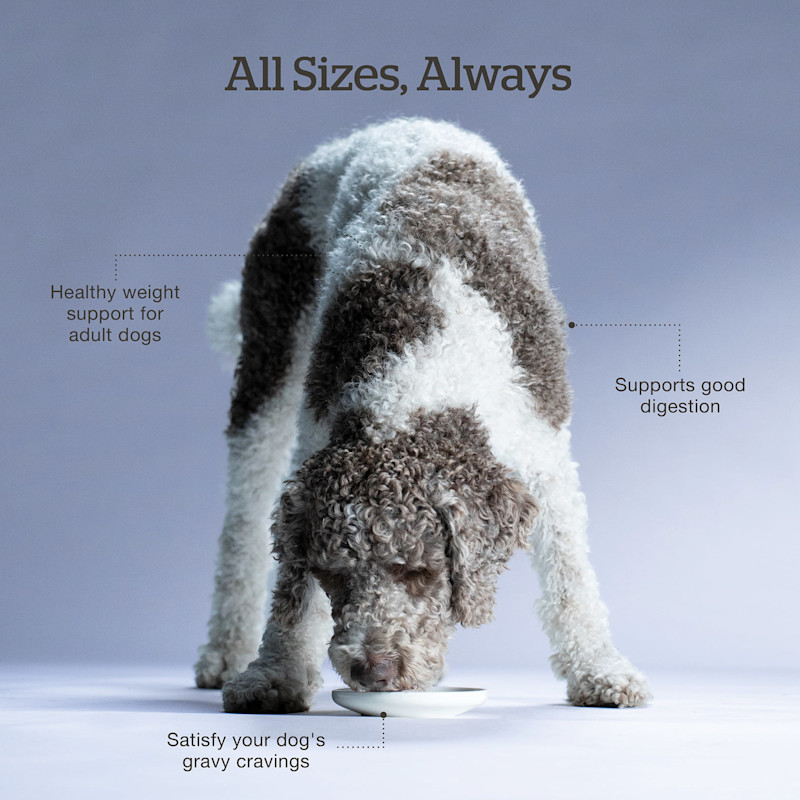 Healthy weight support, supports good digestion, and satisfies your dog's gravy cravings
