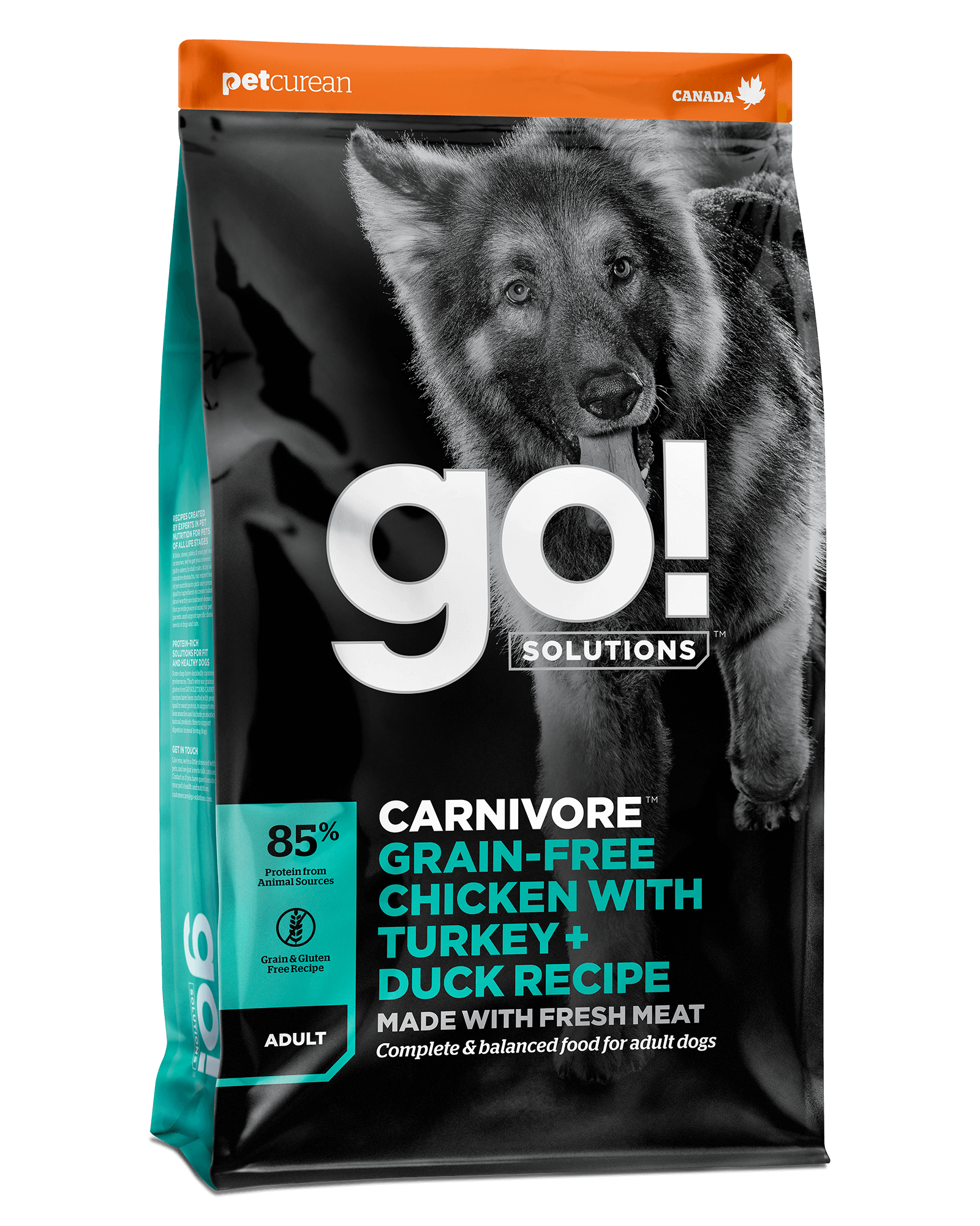 Go! Solutions Carnivore מתכון עוף ללא גרעינים עם תרנגול הודו + ברווז ללא דגנים לכלבים בוגרים